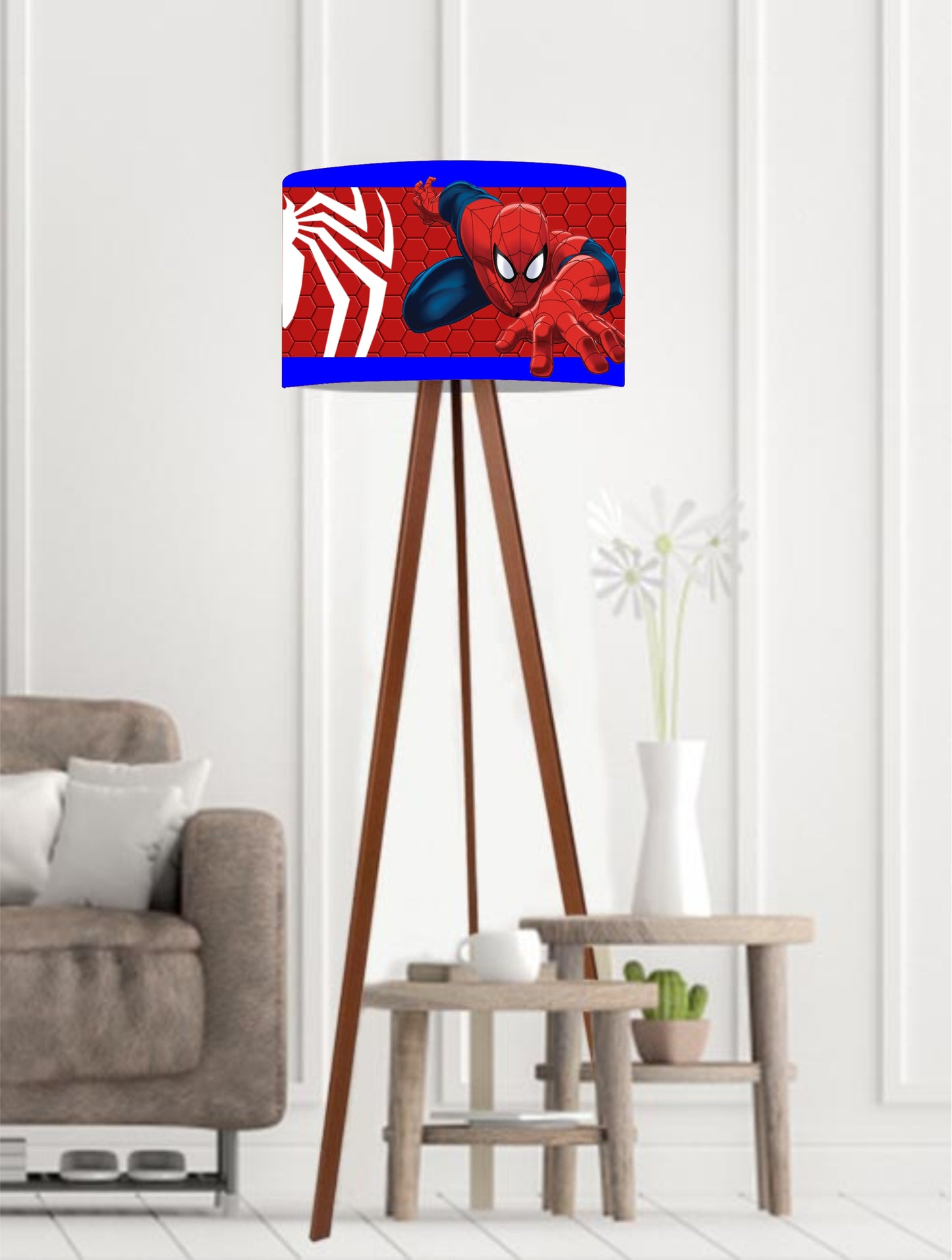 spider man (kids room)