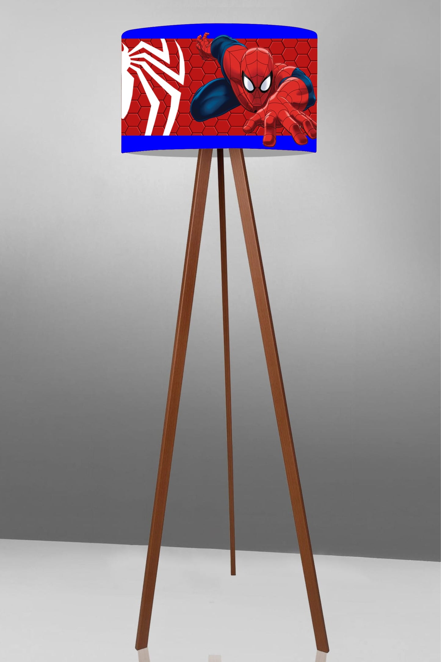 spider man (kids room)